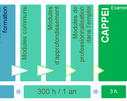 Cappei formation