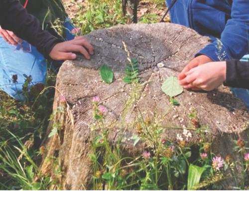 Photos%20505%20%288%29