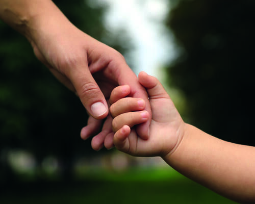 32 shutterstock 2209881233