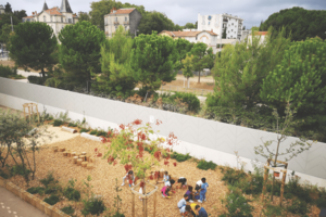 Photos%20507%20%281%29%20%281%29