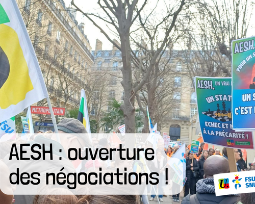 Aesh%20%20la%20cr%c3%a9ation%20d%e2%80%99un%20corps%20port%c3%a9e%20au%20minist%c3%a8re