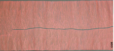 art aborigène art aborigène